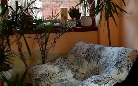 Boris Apartman Gyula