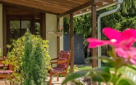 Csillagvirág Apartman Gyula