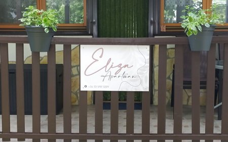 Eliza Apartman Gyula