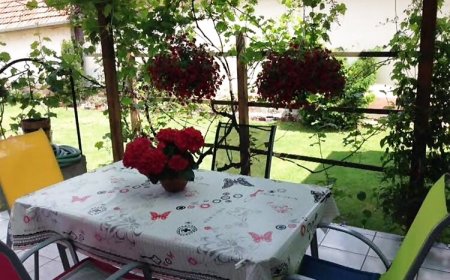 Körösparti Pihenő Gyula