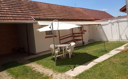 Nyuszi Apartman Gyula