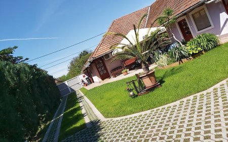 Vigyi Apartman Gyula