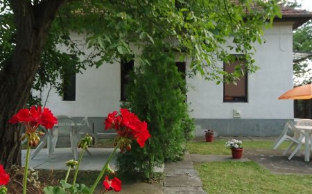 Ezüstfenyő Apartman Gyula