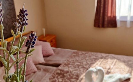 Várkert Apartman Duplex Gyula