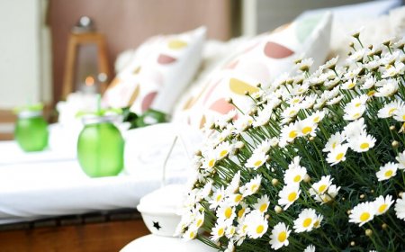 Amfora Panzió Gyula