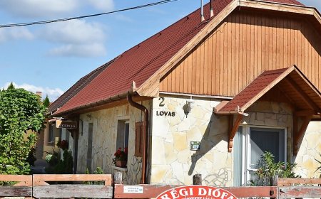 Gombos Apartman Hajdúszoboszló