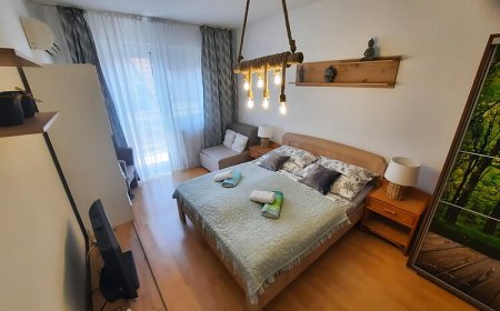 Zöld Béka Apartmanok Kölcsey II. Hajdúszoboszló