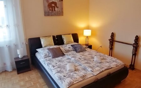 Zöld Béka Hőforrás Apartman Hajdúszoboszló