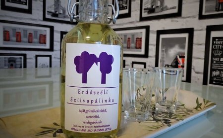 Erdőszéli Apartman Hajdúszoboszló
