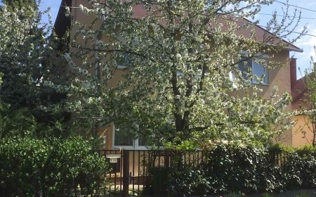 Big Apartman Hajdúszoboszló