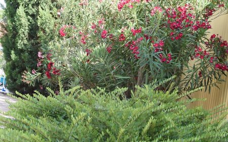 Hajnalsugár Apartman Hajdúszoboszló