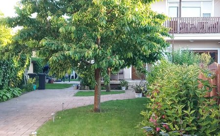 Rózsika Vendégház Hajdúszoboszló