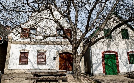 Berger Pince és Vendégház Hajós