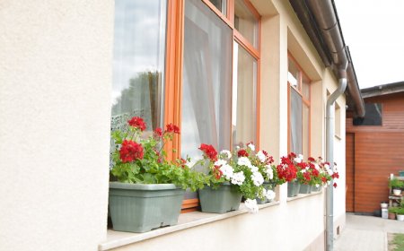 Neuhercz Apartmanok Halászi