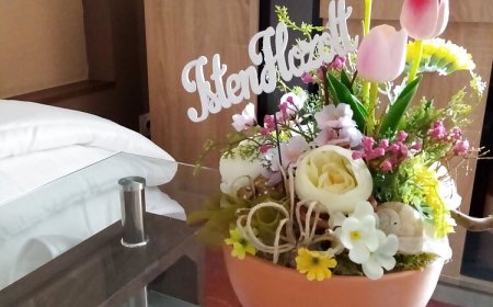 Csinos Apartman*** Harkány