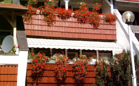 Cindy Apartmanház Harkány