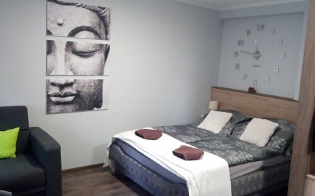 Mosoly Apartman Harkány