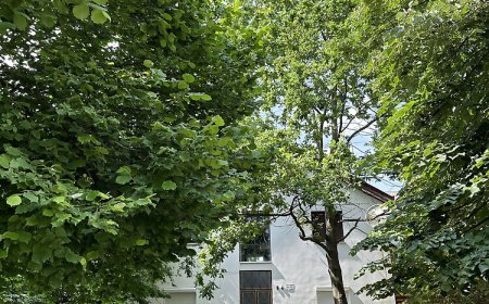 Petra Apartman Harkány