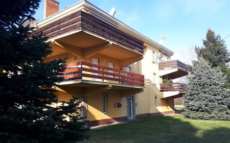 Activity Apartman Harkány