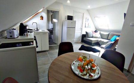 Alea Apartmanok Harkány