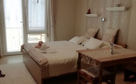 Dániel Apartman Harkány