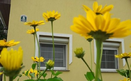 Napocska Vendégház Harkány