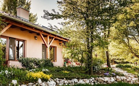 Berek Vendégház Hárskút