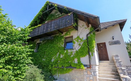 Medvefül Vendégház Hárskút