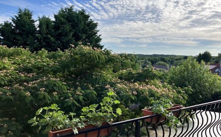 Bike Oasis Vendégház Herceghalom