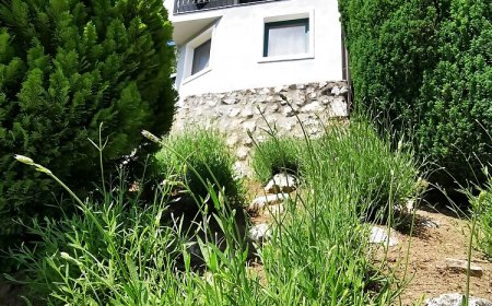 Mini Piri Vendégház Hévíz