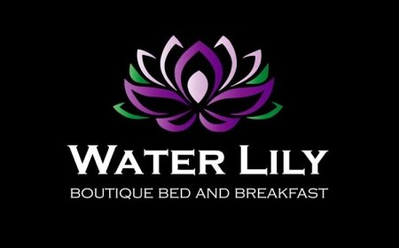Water Lily Boutique B&B Hévíz
