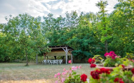 Bodzavirág Vendégház Hódmezővásárhely