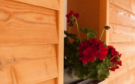 Dorottya Vendégház Hódmezővásárhely