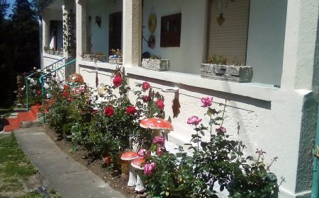 Kulcsosház Vendégház Hollóháza