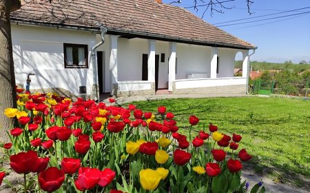 Szira Porta Vendégház Hollókő