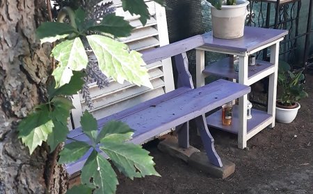Polly Apartman Igal