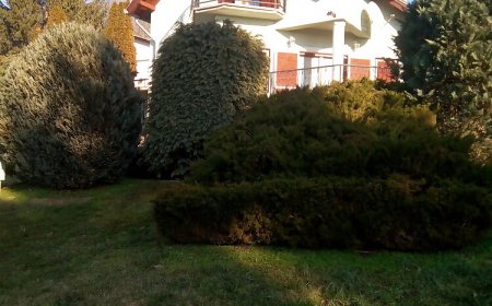 Zöld Oázis Vendégház Igal