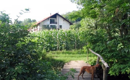 Erdőalja-Vendégház Jásd