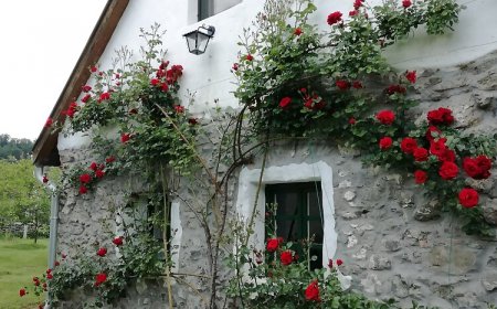 Kapolcs Cottage Vendégház Kapolcs