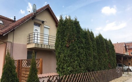 Tulipán Apartman Kápolnásnyék