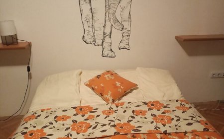 Elefántos Apartman Kaposvár