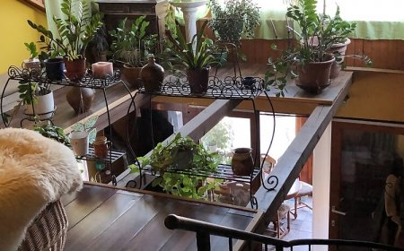 Erika vendégháza Kaposvár