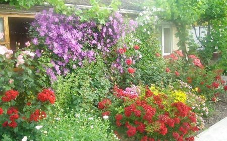 Judit Vendégház Karcag