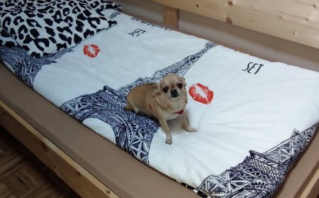 Orsi Szálláshelyek Kecskemét