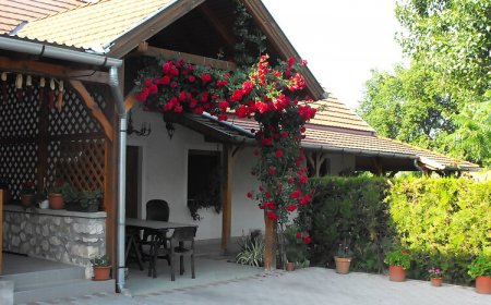 Anita Apartman Kehidakustány