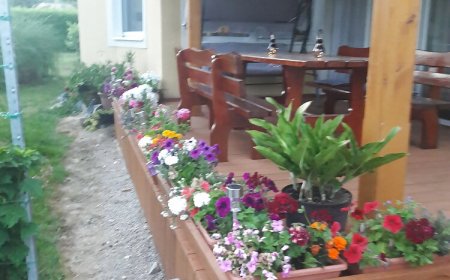 Alexander Vendégház Kehidakustány