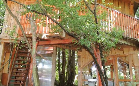 Kerca BioFarm Kercaszomor