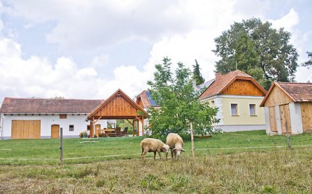 Harmatcsepp Vendégház Kercaszomor