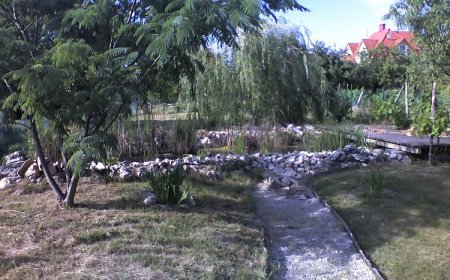 Villa Negra Apartman Keszthely