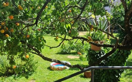 Primavera Vendégház Keszthely